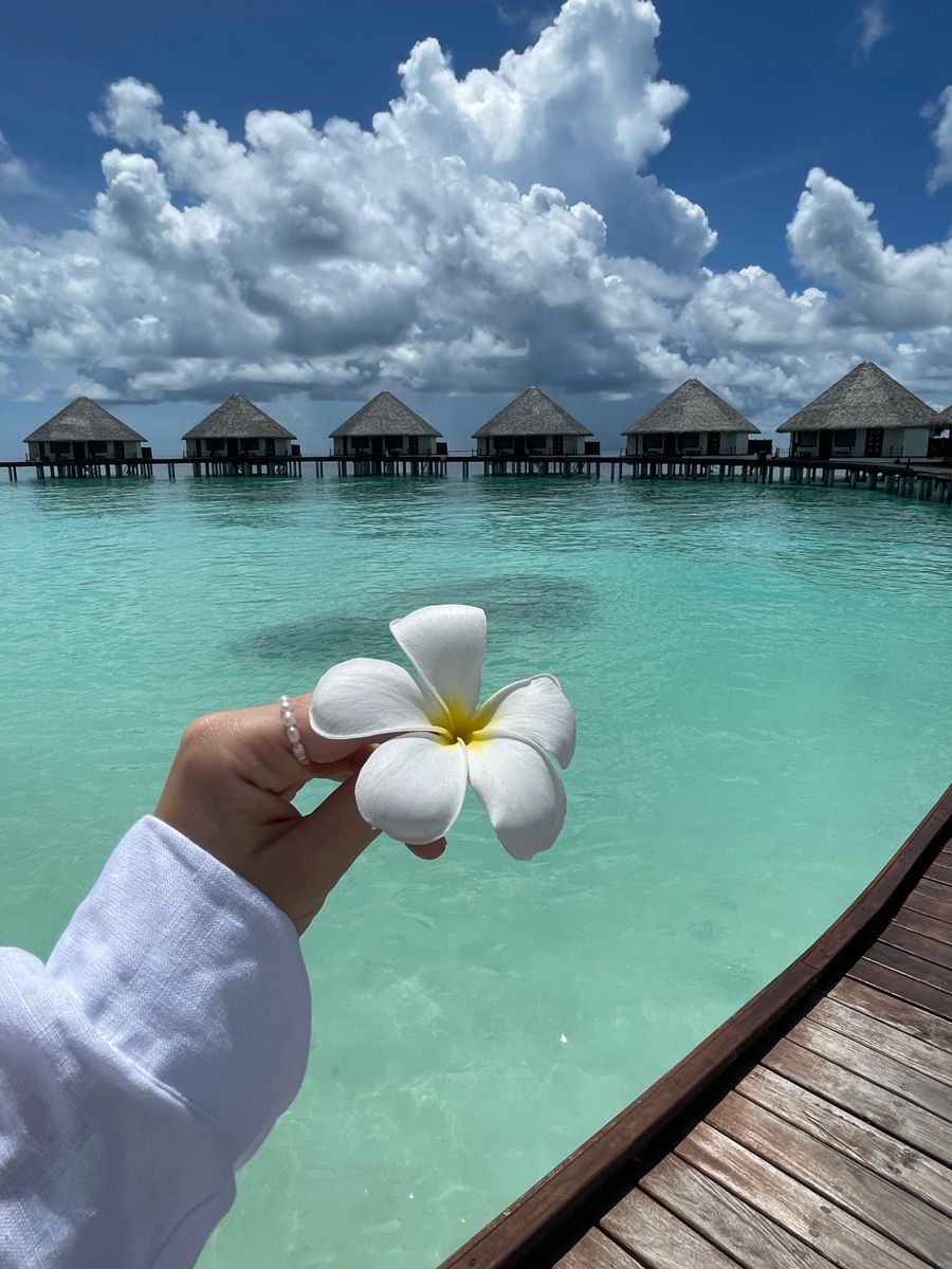 Máy bay trên trời